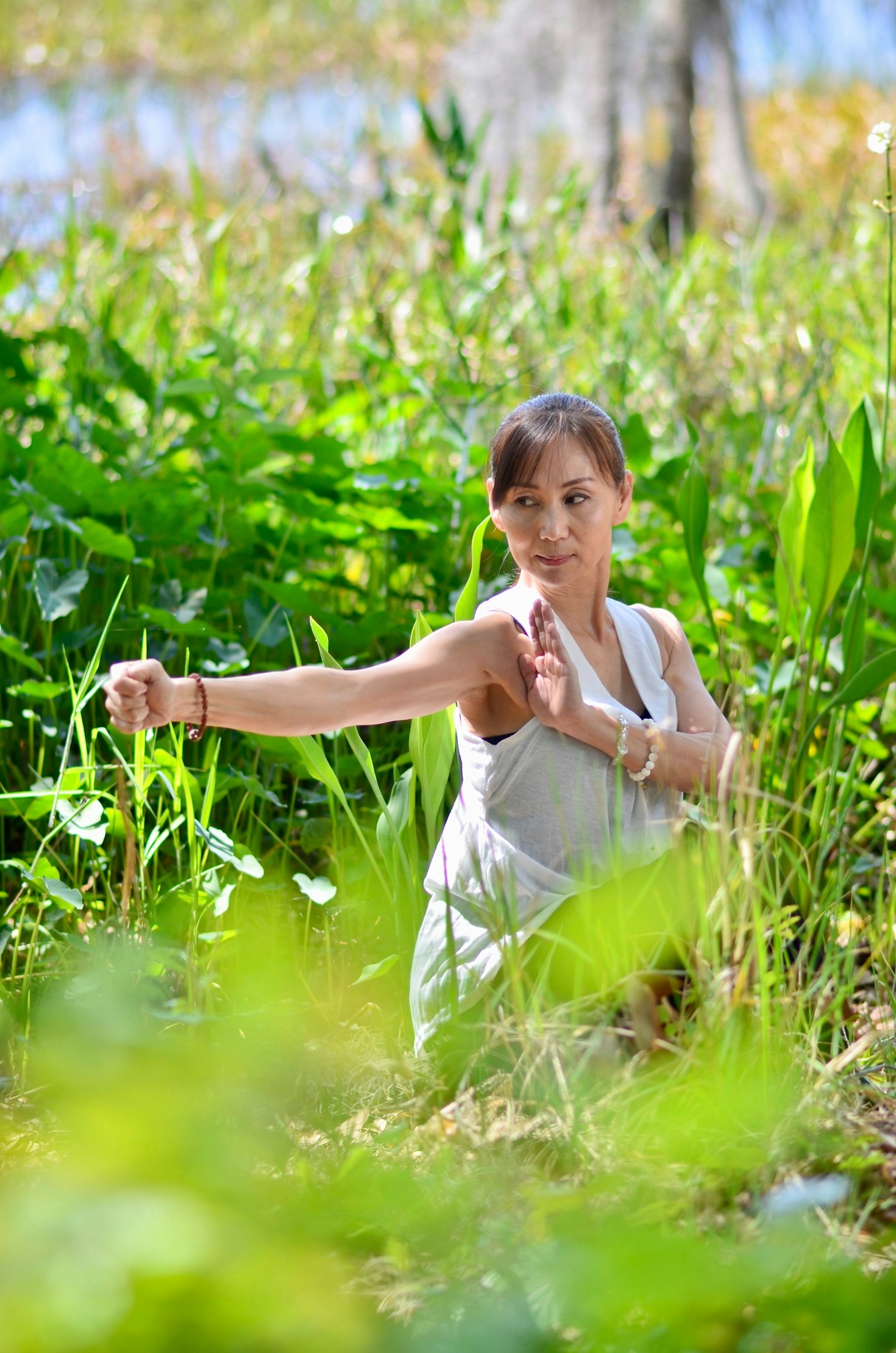 Essential Principles Of Internal Movement Systems